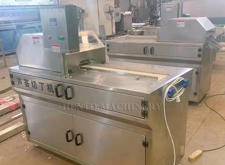 Aloe Vera Cutting Machine