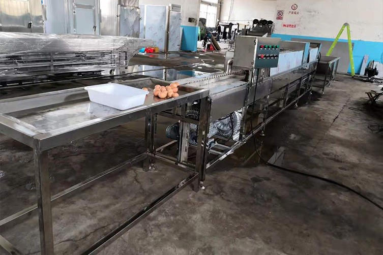 automatic egg washer 1