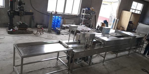 automatic egg washer 3