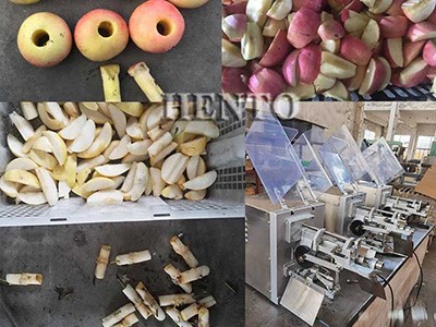 Apple Peeling Coring Dividing Machine Apple Peeling Coring Dividing Machine