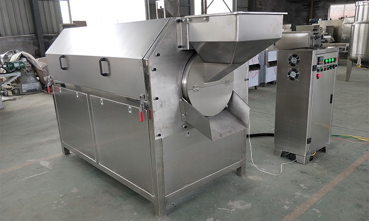 Sunflower Seed Roasting and Packing Line
