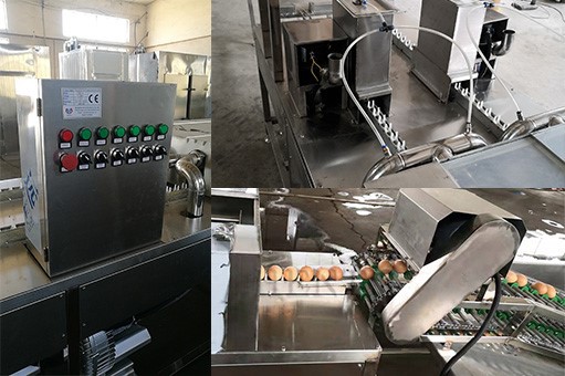 egg processling line egg processling line