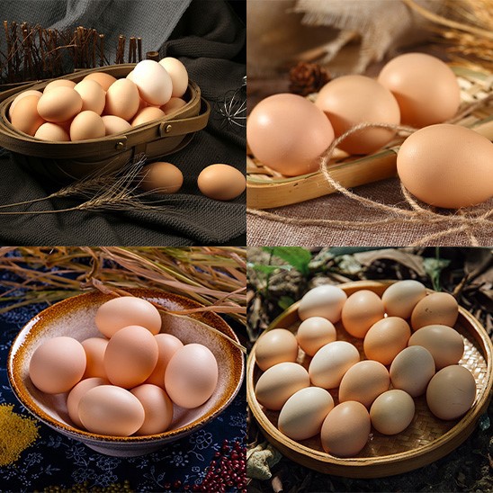 egg cleaning line egg cleaning line