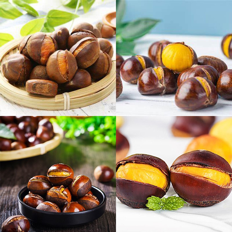 Chestnut Opener Machine Chestnut Opener Machine