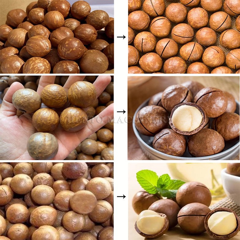Macadamia Nut Shelling Machine Macadamia Nut Shelling Machine