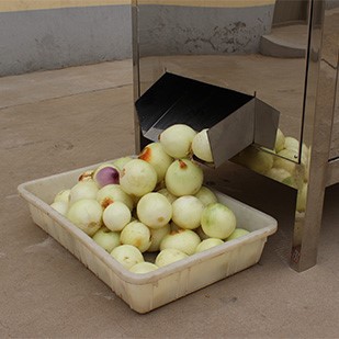 onion peeling machine 5