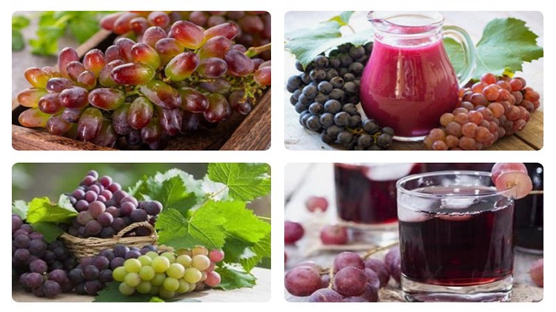 Grape Stem Remove Machine 5 Grape Stem Remove Machine 5