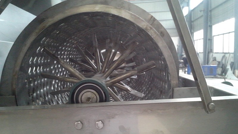 Grape Stem Remove Machine 4