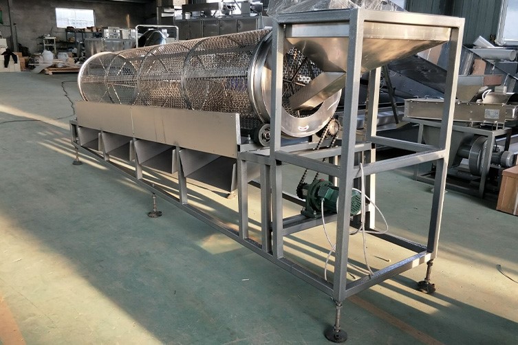 almond nuts cracking grading machine 1