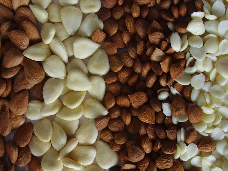 almond nuts cracking grading machine 2