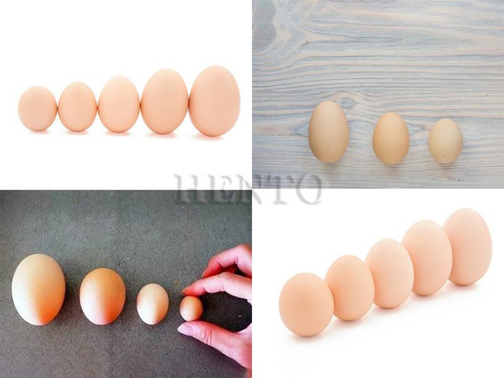 Egg