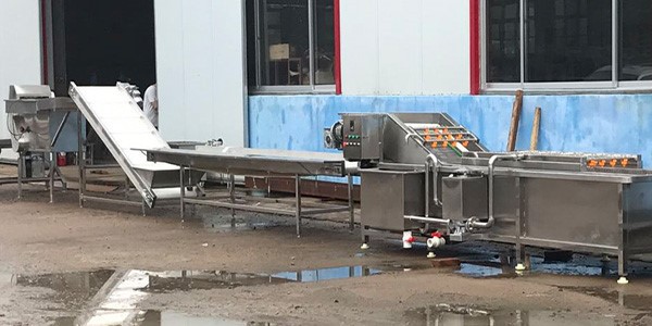 machine chicken feet 1 machine chicken feet 1