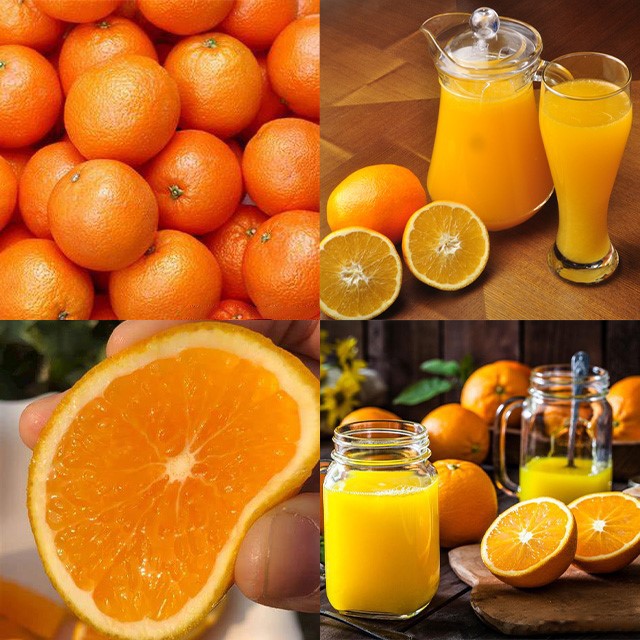 Orange Juicer Extractor Machine 3