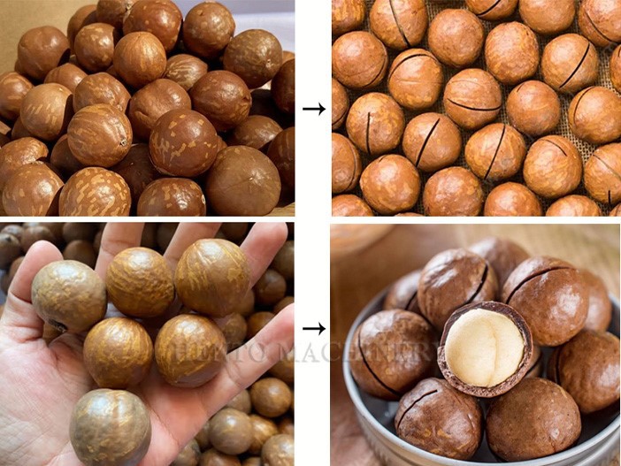 Macadamia Nut Cracker Macadamia Nut Cracker