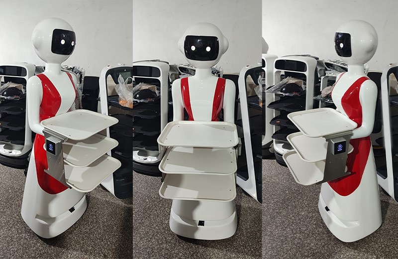 Robot Serve Food