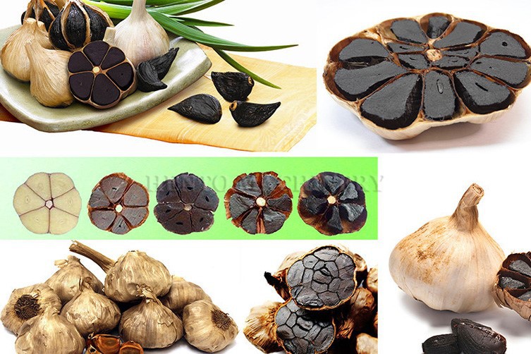 black garlic machine black garlic machine