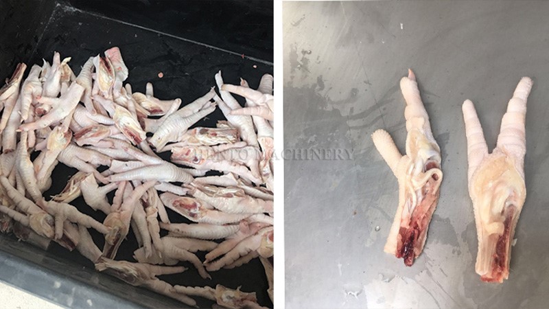 Chicken Feet Cutting Machine Chicken Feet Cutting Machine