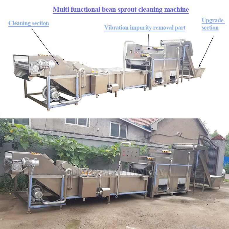 bean sprout cleaning machine
