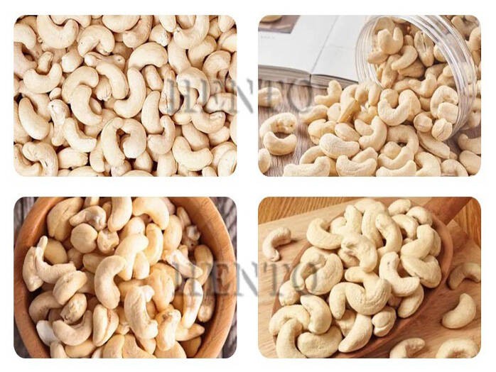 Cashew Nut Production Line