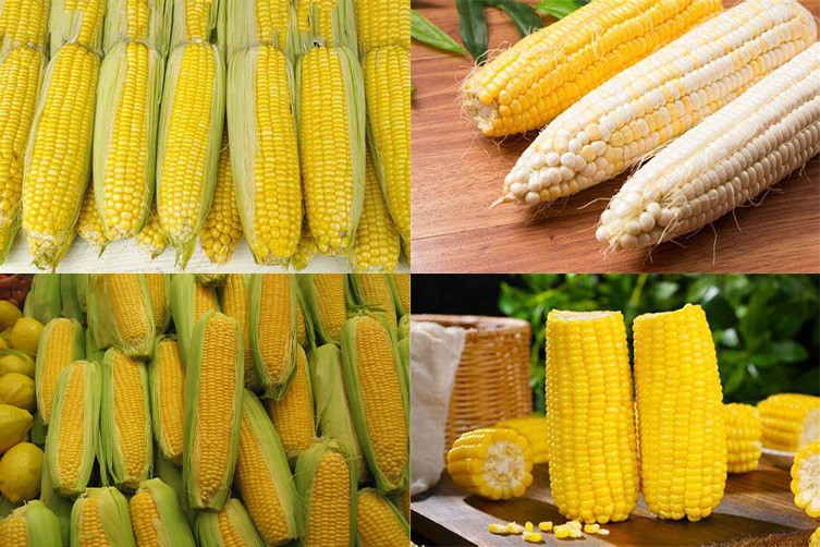 maize peeler machine maize peeler machine