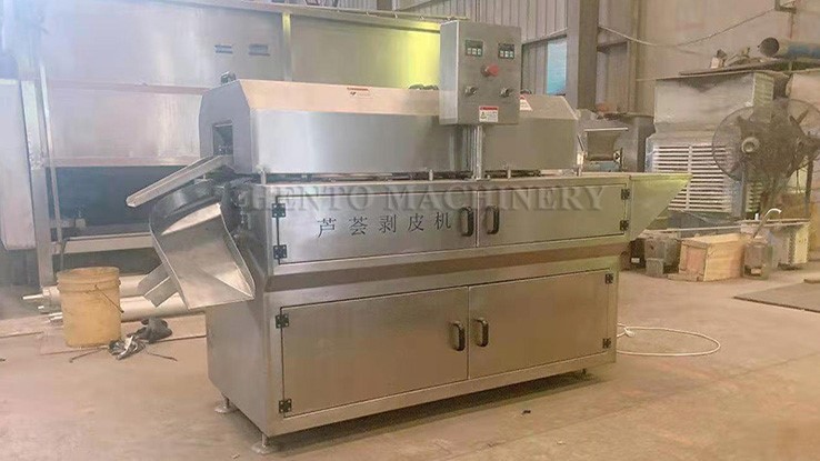aloe vera Peeling Machine