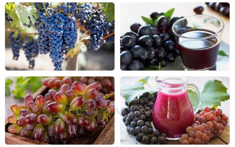 Grape Stem Removing Machine