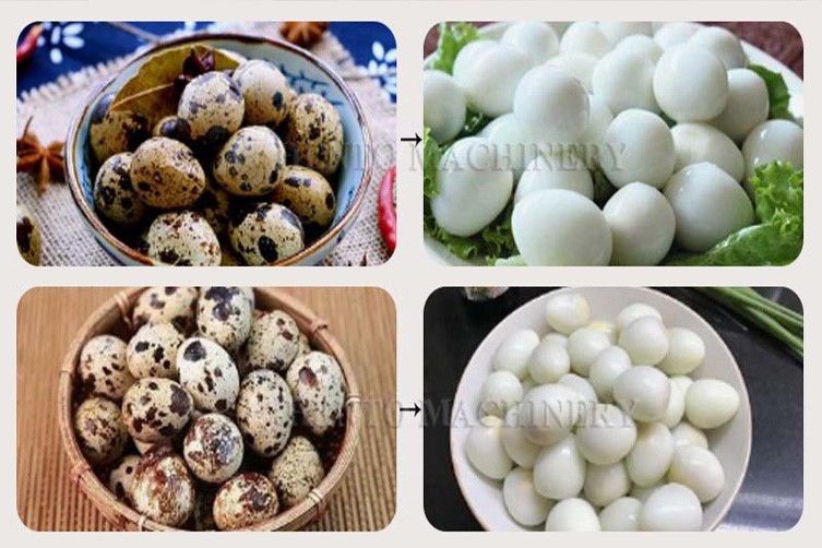 industrial egg breaking machine