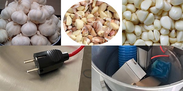 garlic peeling machine