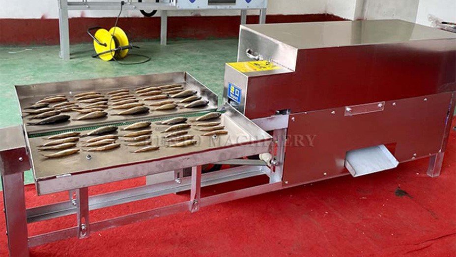 fish cleaning and gutting machine fish cleaning and gutting machine