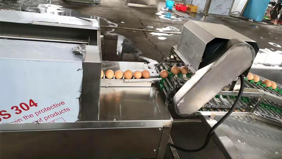 Egg Washing Machine Cleaner Egg Washing Machine Cleaner