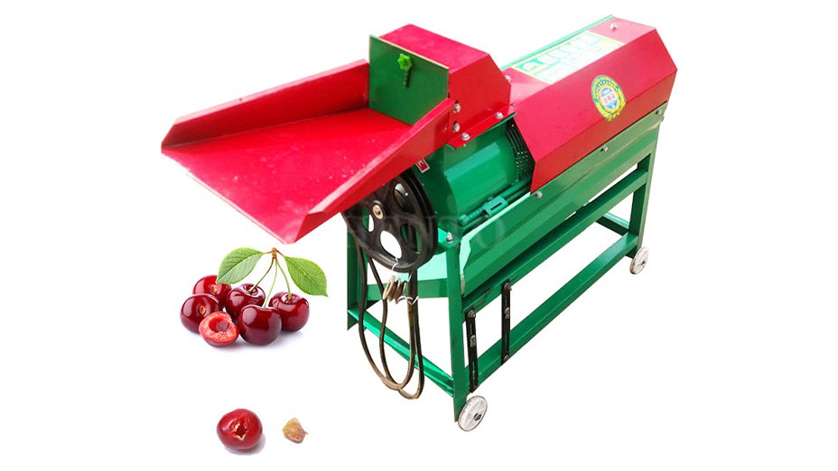 apricot kernel separator