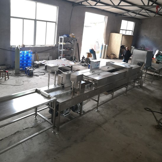 10000 pcs egg duck cleaning drying machine