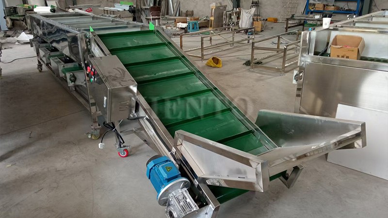 Kiwi Fruit Sorting Machine