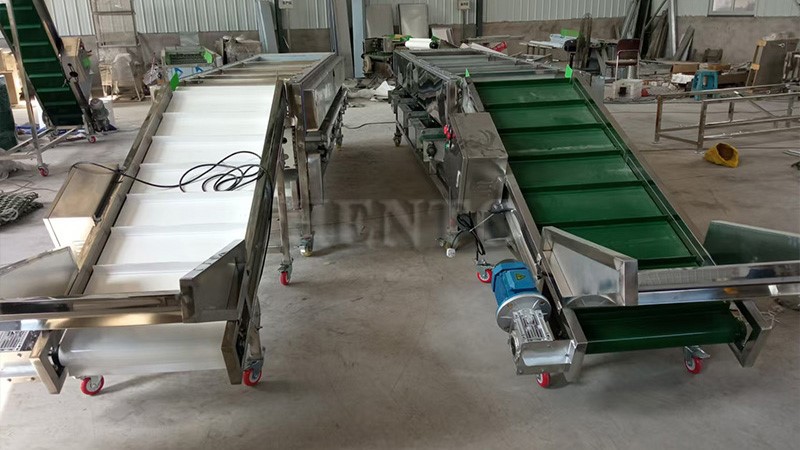 Oranges Sorting Machine