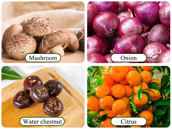 Sorting Machine For Vegetable