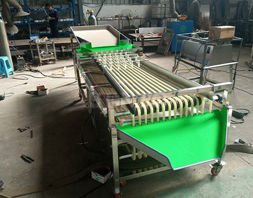 Citrus Fruits Sorting Machine