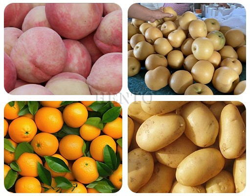 Lemons Sorting Machine