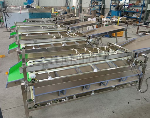 Fruit Sorting Machine