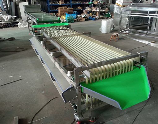 Apple Fruit Sorting Machine