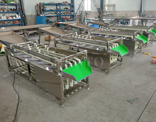Vegetable Sorting Machine