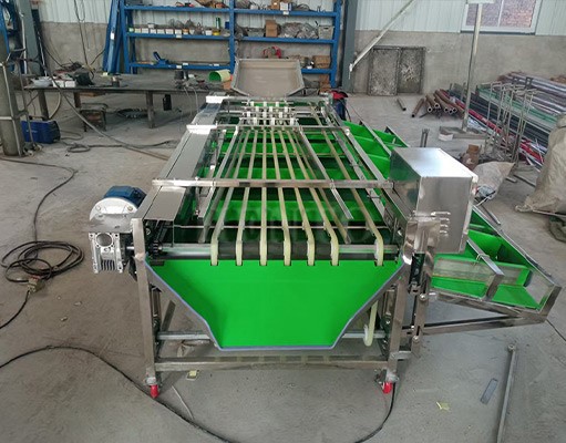 Passion Fruit Sorting Machine
