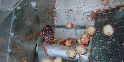 Pomegranate Seed Splitting Machine