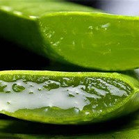 Aloe Vera Machine Aloe Vera Machine