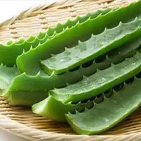 Aloe Vera Peeling Machine Aloe Vera Peeling Machine