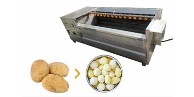 Washingand peeling machine