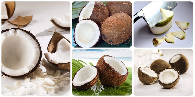 Coconut Cutting Machine