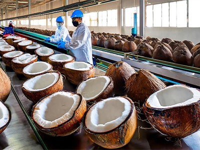 Coconut Cutter Machine Coconut Cutter Machine