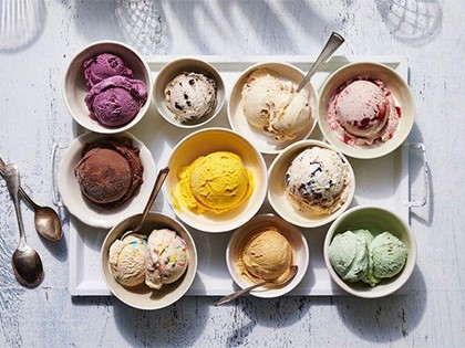 fruit ice cream blender