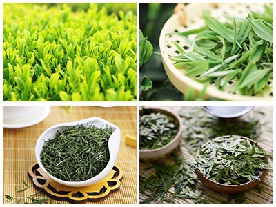 Drum type tea drying machine