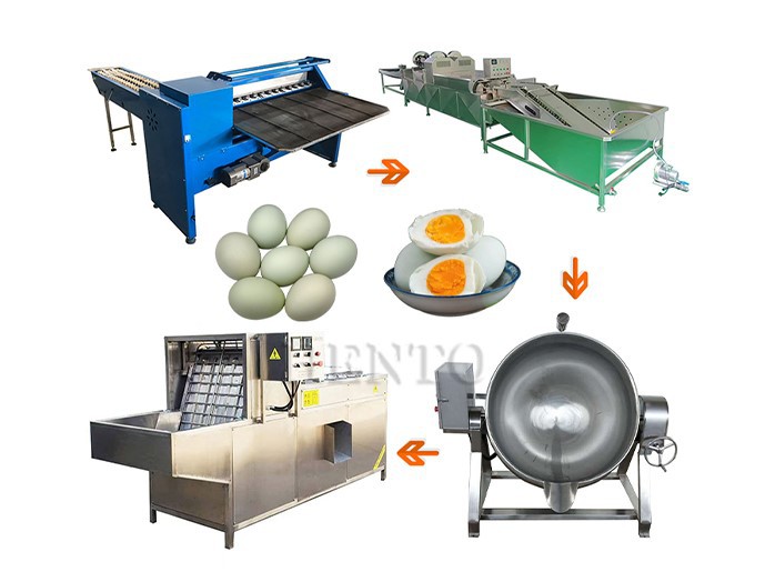 Duck Egg Production Line Duck Egg Production Line